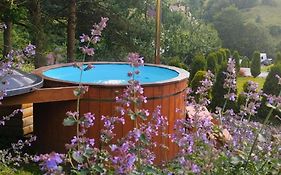 Domek Sielski Zakątek Pieniny ruska bania z jacuzzi